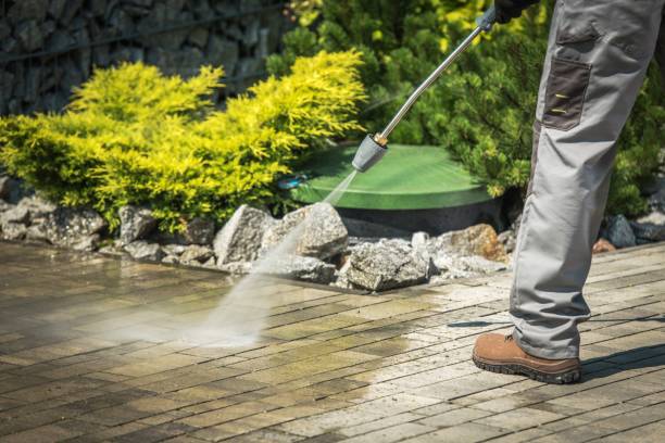 Animal Enclosure Cleaning in Rio Grande, OH