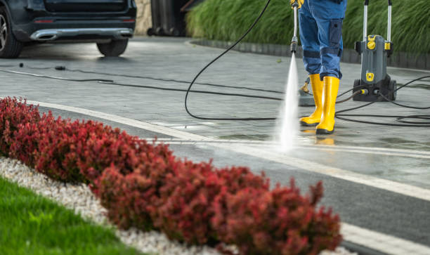 Best Driveway Pressure Washing  in Rio Grande, OH